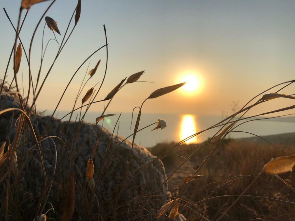 B&B L'Eden Di Capo Bianco Montallegro Zewnętrze zdjęcie